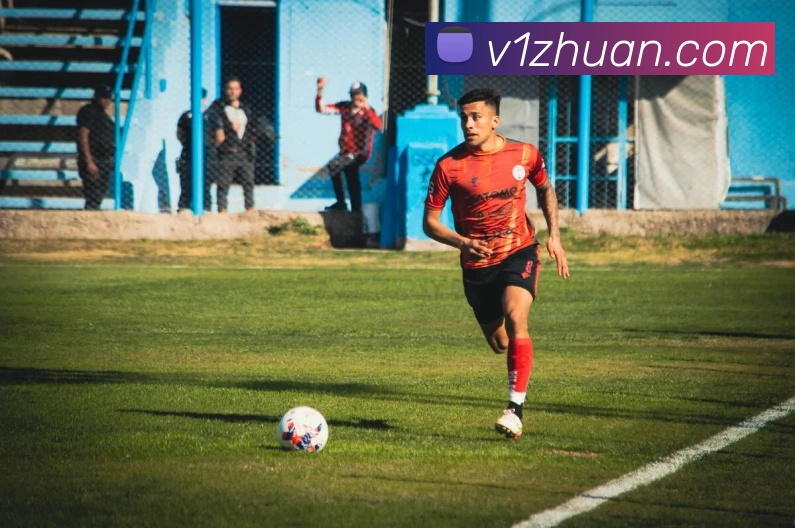 3377体育服务体系